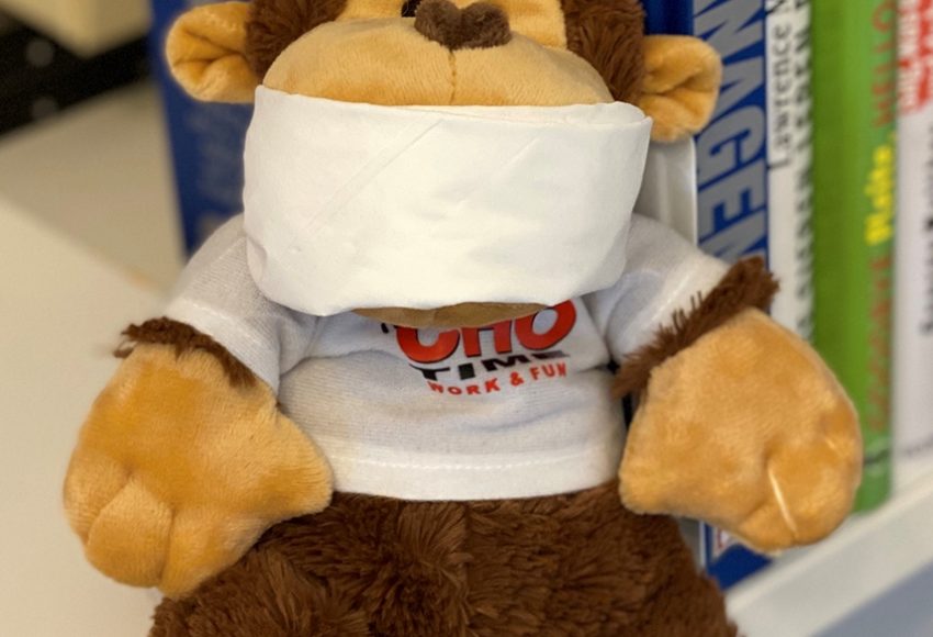 Maskottchen "Chocho" 2020